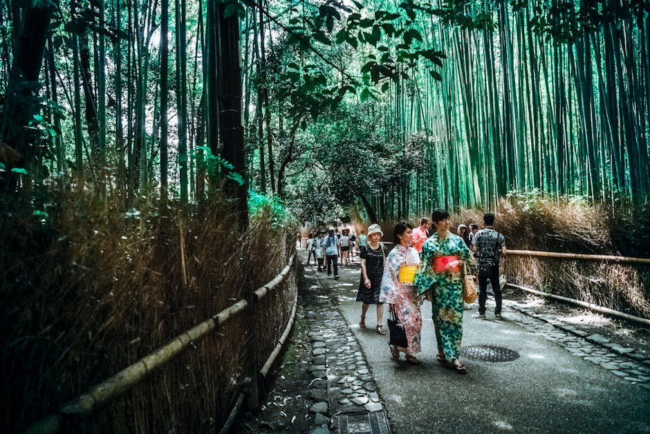 Chemin à travers la forêt de bambous dans le quartier dArashiyama à Kyoto