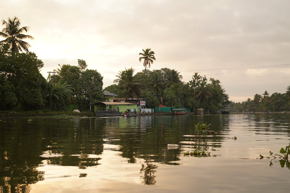 Coucher de soleil dore sur les eaux calmes des backwaters du Kerala