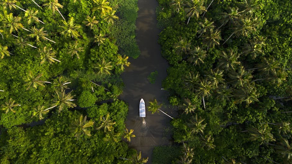 Vue des backwaters verdoyants d Alappuzha au Kerala avec cocotiers et eaux calmes
