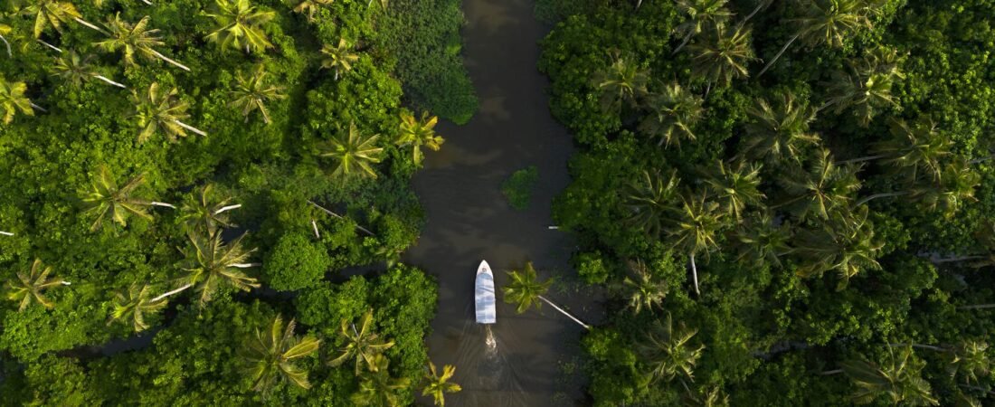 Carnet du Kerala : naviguer sur les backwaters entre ciel et cocotiers
