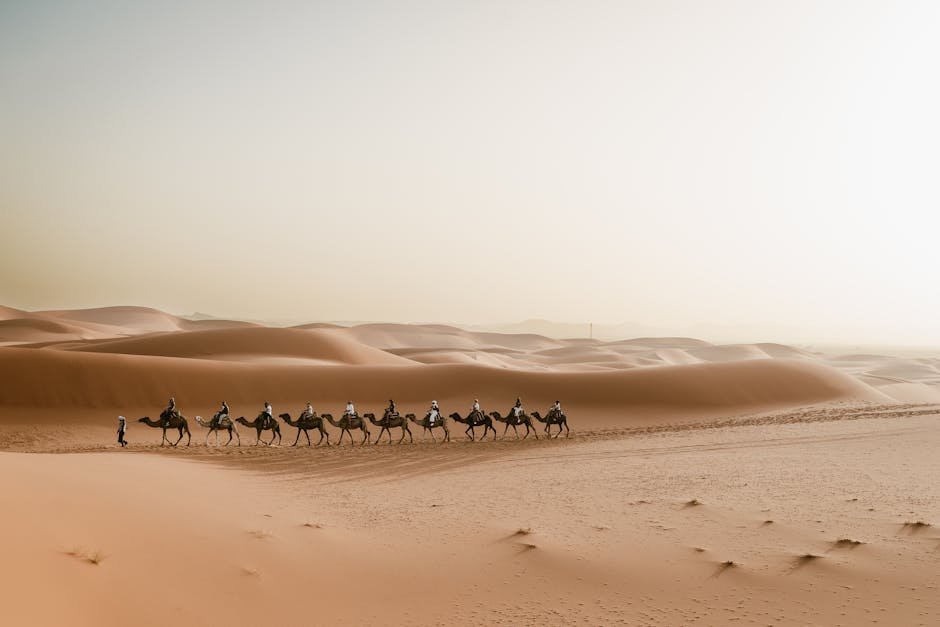 Caravane de dromadaires traversant les dunes de Merzouga au Sahara marocain