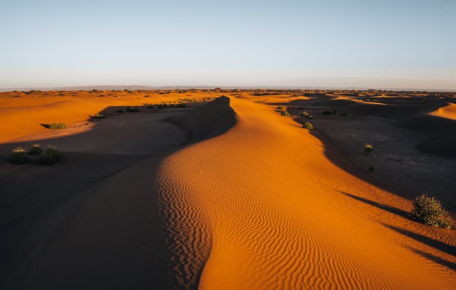Jeu d ombres sur les dunes du Sahara au coucher du soleil