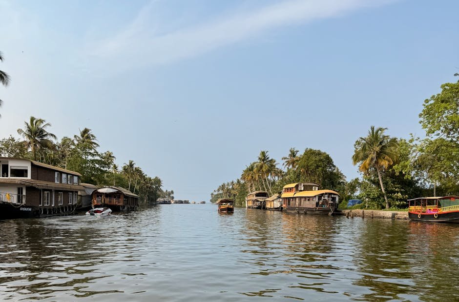 Plusieurs houseboats flottant sur les backwaters du Kerala sous un ciel bleu