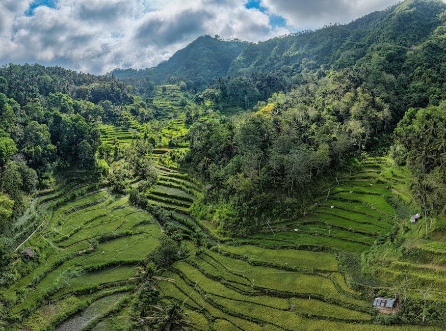 Vue aérienne des rizières verdoyantes de Bali au milieu des montagnes