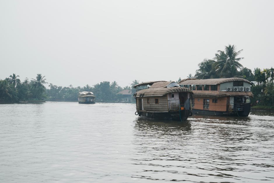 Houseboats amarres sur les backwaters du Kerala entoures de vegetation tropicale