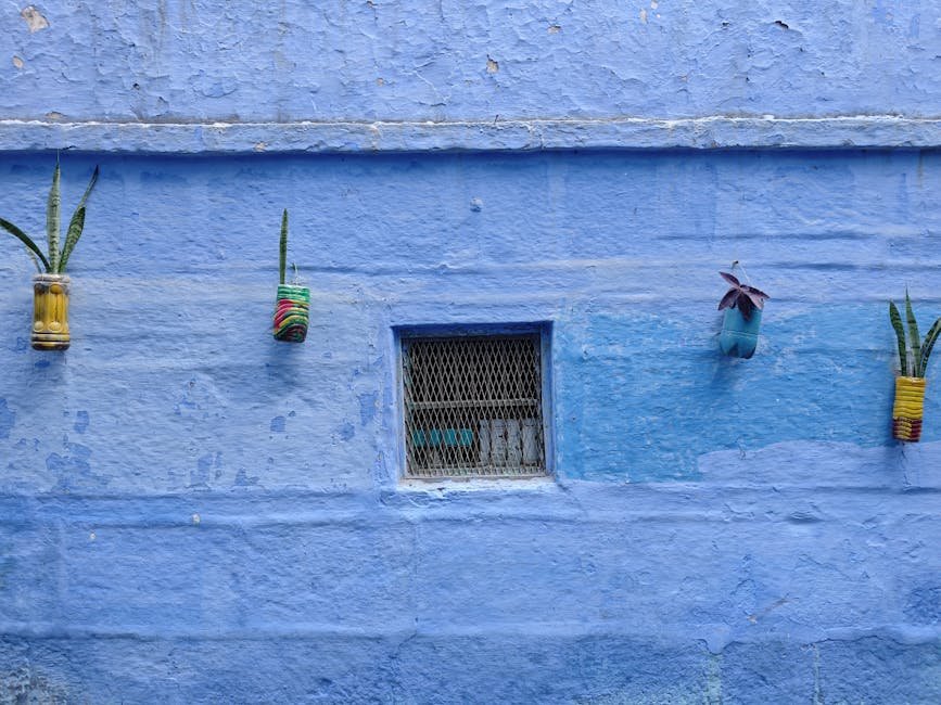 Mur bleu vif orne de plantes vertes dans la ville bleue de Jodhpur