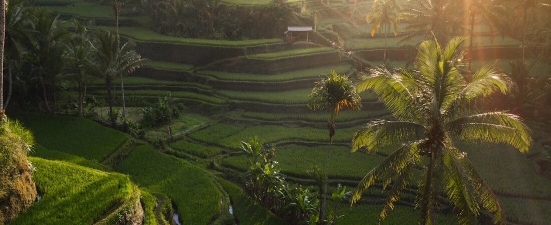 Trois jours dans les rizières de Bali : quand le temps s’arrête à Tegallalang