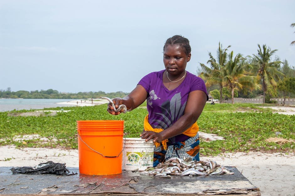 Scene de tri du poisson sur une plage de Tanzanie