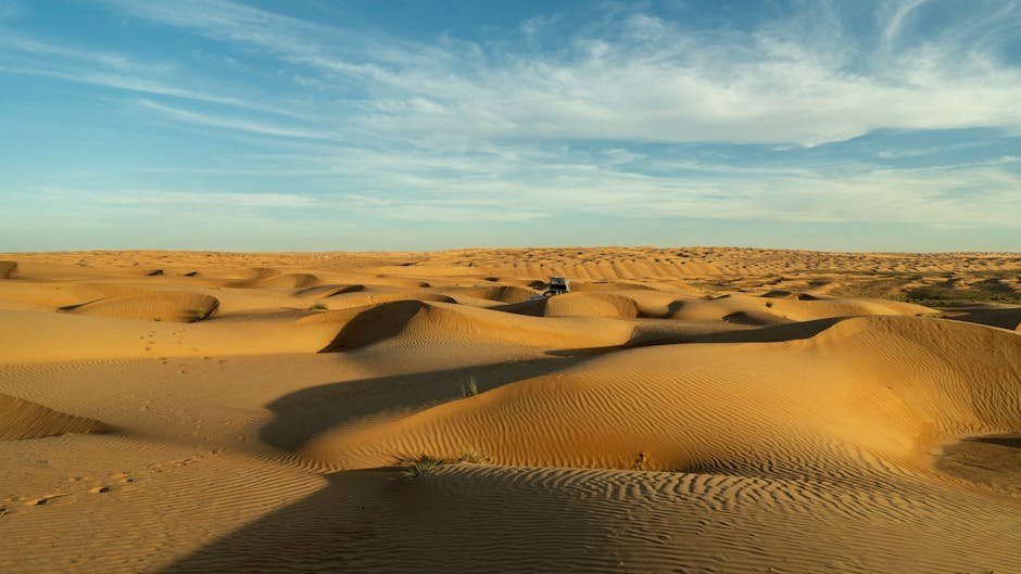 Coucher de soleil doré sur les dunes de sable du désert omanais